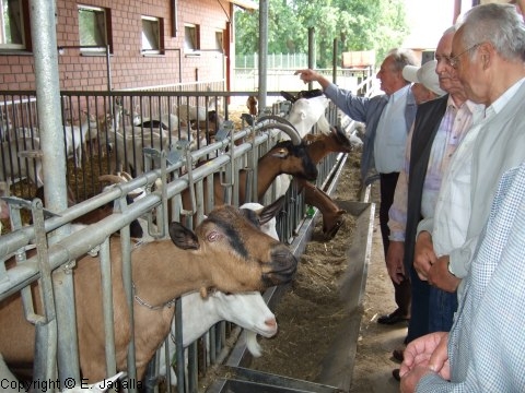 Foto_ 025.jpg